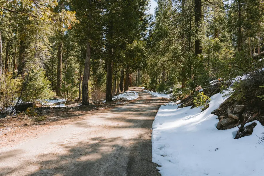 Path Through Winter Forest — 200-piece jigsaw puzzle