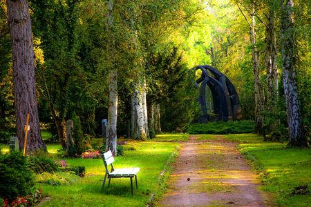 Tranquil Forest Path — 64-piece jigsaw puzzle