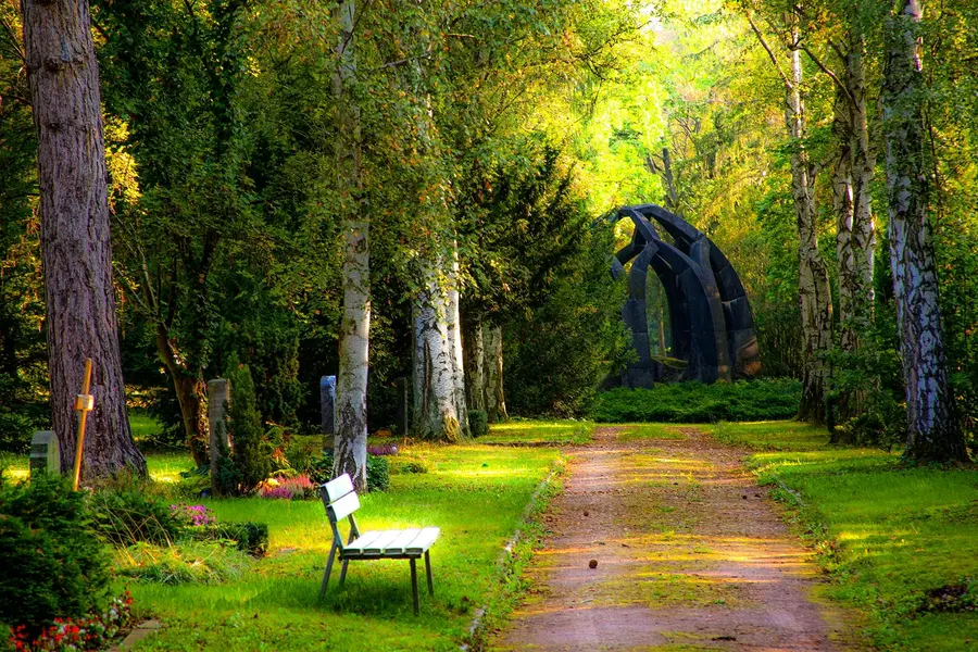 Tranquil Forest Path — 64-piece jigsaw puzzle