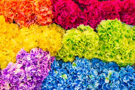 Rainbow Flower Symphony — 200-piece jigsaw puzzle