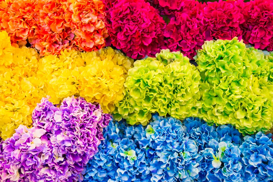 Rainbow Flower Symphony — 200-piece jigsaw puzzle