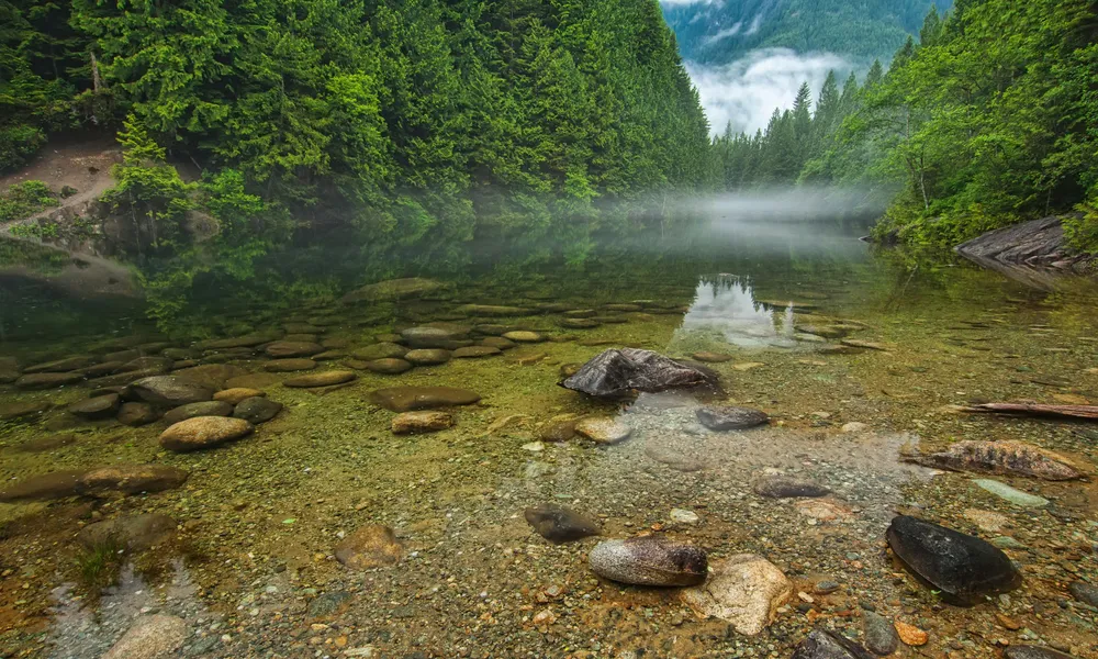 Misty Forest Reflection — 64-piece jigsaw puzzle