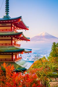 Mount Fuji Serenity — 300-piece jigsaw puzzle