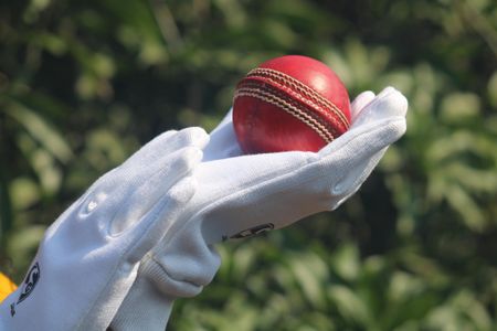 Cricket Ball in Glove — 100-piece jigsaw puzzle