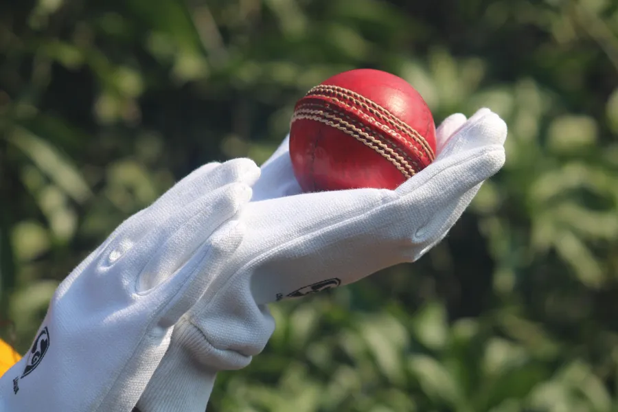 Pelota de cricket en guante — rompecabezas de 100 piezas