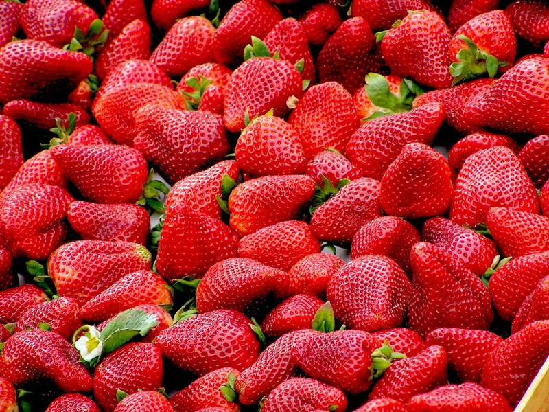 Sappige verse aardbeien — 300-stukjes legpuzzel