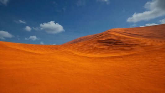 Golden Desert Waves — 500-piece jigsaw puzzle