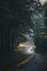 Misty Forest Road — 200-piece jigsaw puzzle