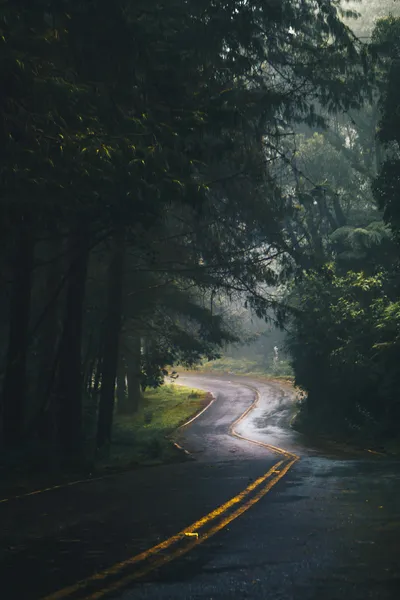 Misty Forest Road — 200-piece jigsaw puzzle