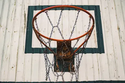 Rustic Basketball Hoop — 100-piece jigsaw puzzle