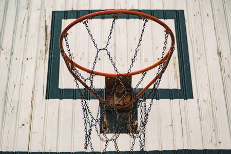 Rustic Basketball Hoop — 100-piece jigsaw puzzle