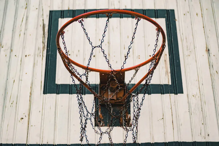 Rustic Basketball Hoop — 100-piece jigsaw puzzle