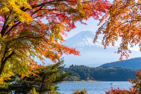 Autumn Splendor at Mountain — 300-piece jigsaw puzzle
