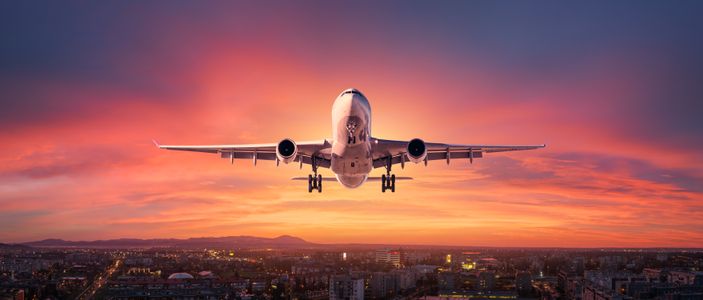Flight Into Sunset — 400-piece jigsaw puzzle