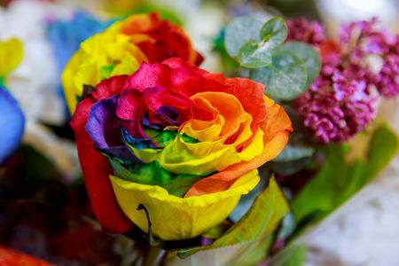 Vibrant Rainbow Rose — 150-piece jigsaw puzzle